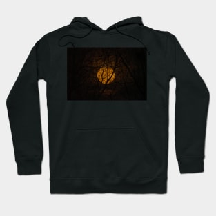 Full Moon Rising Number 2 Hoodie